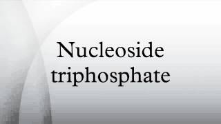 Nucleoside triphosphate [upl. by Al382]