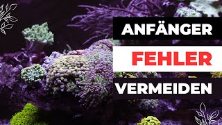 Diese Fehler machen viele Anfänger in der Meerwasseraquaristik und wie du Sie vermeiden kannst [upl. by Inalawi]