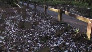 The Pet Cemetery  Penrhos Coastal Park  Ynys Cubi  Anglesey  North Wales Walk [upl. by Eellah]