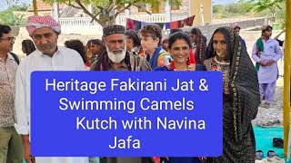 Heritage Fakirani Jat amp Swimming Camels Kutch with Navina Jafa [upl. by Keyser560]