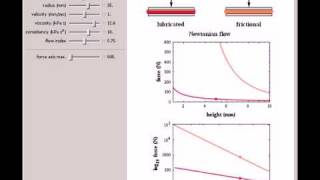 Lubricated and Frictional Squeezing Flow [upl. by Damiano]