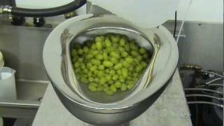 Flushing 5lbs of Grapes [upl. by Ennylhsa]