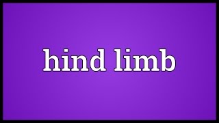 Hind limb Meaning [upl. by Ofella]