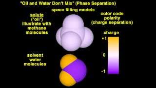 Oil amp Water Phase Separation [upl. by Jilli743]