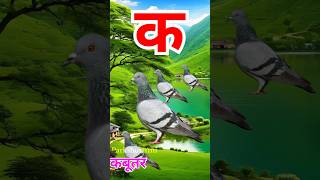 Ka se Kabutar Pigeon means Kabutar kidssong shorts youtubeshorts [upl. by Esyli]