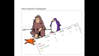 How to build a Cladogram 148 [upl. by Madel2]