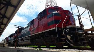 sabes que es un tren 222 y 112 carros Cargados Cuyutlan despues del Huracan Bud [upl. by Moncear593]