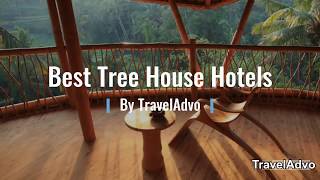 Best Tree House Hotels in the World [upl. by Ced455]