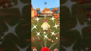 Shiny Sentret In Pokemon Go pokemon shinypokemon shinyhunting pokemongo sentret shiny [upl. by Lias]