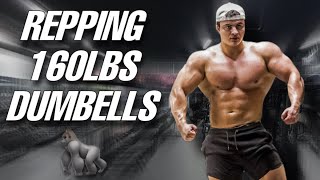 BUILDING AN ARNOLD CHEST [upl. by Walls]