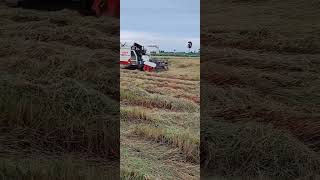 Sri Lankans official tractor and harvesters harvestar farmequipment riceharvester [upl. by Berkeley]