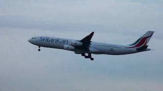 Sri Lankan Airlines Airbus A340300 4RADA landing at FRAEDDF Frankfurt  am Main RWY 25L [upl. by Anilosi]