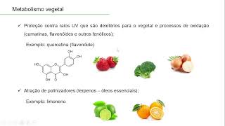 Aula de Metabolismo vegetal Farmacognosia Parte I [upl. by Schwarz]