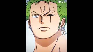 Zoro tadow edit [upl. by Catarina496]