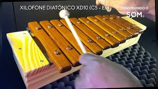 Xilofone Diatônico XD10 [upl. by Aikemot]