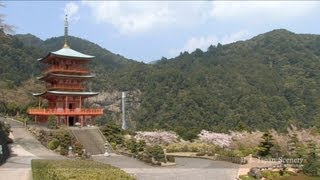 熊野那智大社 Nachi Temple amp Waterfall JAPAN [upl. by Abdu]