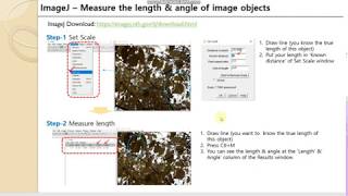 ImageJ manual  how to measure the length and angle from the image [upl. by Kip365]