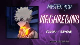 MISTER YOU  MAGHREBINS  SLOWD  REVERB DARKMUSIC01 [upl. by Leiuqese]