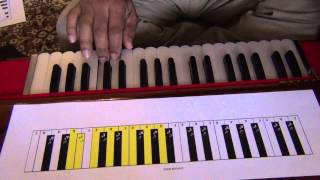 102 Harmonium Lessons for Beginners [upl. by Lertnahs843]