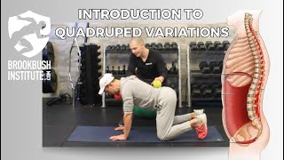 Introduction to Quadruped Variations [upl. by Sisco319]