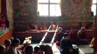 Tibetan Buddhist monks chanting in monastery in Nepal during a special puja [upl. by Cort]