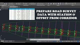 How to Prepare Road Survey dataLevel sheet with station and offset from Corridor in Civil 3D [upl. by Pallua]