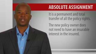 4 Life Insurance Policies Provisions Options and Riders [upl. by Oinegue679]