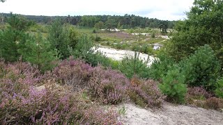 255 Brunssummerheide Limburg NL 87 km [upl. by Procter]