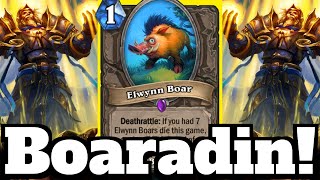 Elwynnadin Boaradin Paladin SHOCKINGLY FAST  Hearthstone [upl. by Madalena]