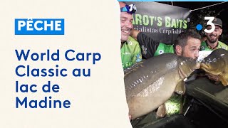 World Carp Classic au lac de Madine  le concours fête ses 25 ans [upl. by Ibmab38]