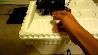 DIY Thermoelectric Peltier Mini Fridge [upl. by Mailliw]