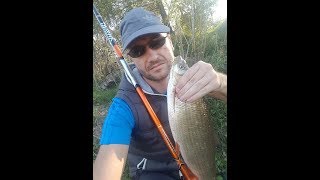 Pecanje Skobalja na hlebna plovak  GoPro Fishing HD  Reka Nisava [upl. by Dalis83]