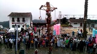 Niños Voladores d Cuetzalan puebla [upl. by Karyn]