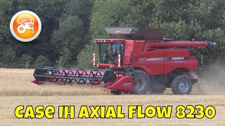 Harvest 2023  Case IH Axial Flow 8230 combine harvesting barley [upl. by Flore241]