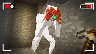 I Killed SCP096 In Minecraft [upl. by Akli899]