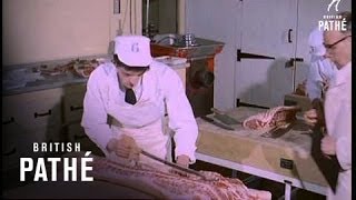 Apprentice Butchers 1960 [upl. by Samalla]