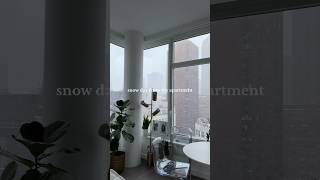 First Snow Day in my NYC Apartment [upl. by Lawford445]