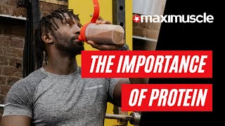 Why is Protein Important  Maximuscle Nutrition [upl. by Junna]