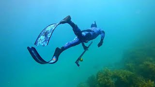 Spearfishing amp Freediving Little Barrier Island New Zealand [upl. by Lorena477]