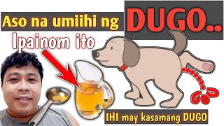 GAMOT SA ASONG UMIIHI NG DUGO  REMEDY LANG TANGGAL YAN [upl. by Noroj]