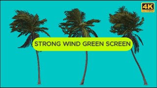 Palm Trees In Strong Wind Green Screen Storm Effects [upl. by Aihtnis]