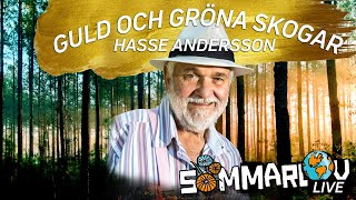 Hasse Andersson spelar quotGuld och gröna skogarquot live i quotSommarlovquot med Farah Rijal och Alex [upl. by Latsirhc168]