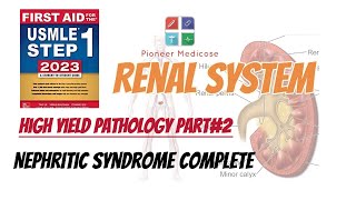 Nephritic Syndrome of Renal System made easy from step 1pathology part 2UrduHindi [upl. by Komarek150]