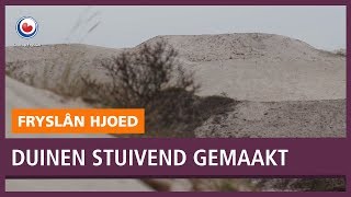 REPO Duinen worden weer stuivend gemaakt op Terschelling [upl. by Johnstone544]