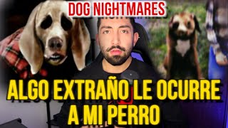 ALGO EXTRAÑO LE OCURRE A MI PERRO oculta algo DOG NIGHTMARES [upl. by Lytsirhc]