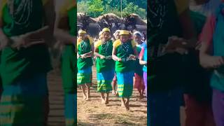 Sibagre wangala festival [upl. by Notnilk]