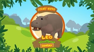 Pygmy Hippo  Leo The Wildlife Ranger Animal Diaries  Animal Facts for Kids [upl. by Swisher]