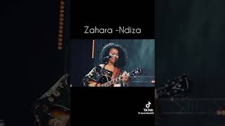 Zahara Ndiza song with lyrics [upl. by Mateusz57]