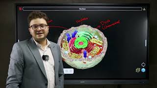 IGCSE Biology Lesson 1 Free session  الحصه المجانيه [upl. by Ruttger]