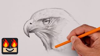 How To Draw a Hawk using Blending Stumps  Sketch Tutorial [upl. by Teerprah]